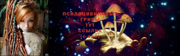 a pvp Беломорск