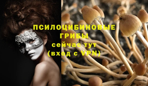 дживик Белоозёрский