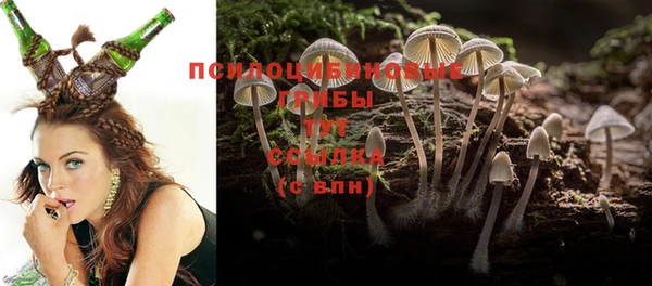 герыч Балахна