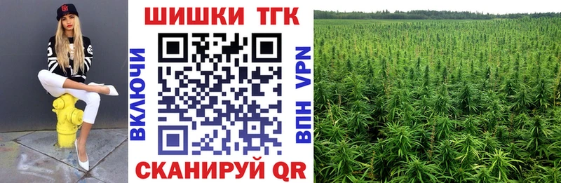 kraken ONION  где продают наркотики  Городовиковск  Конопля SATIVA & INDICA 